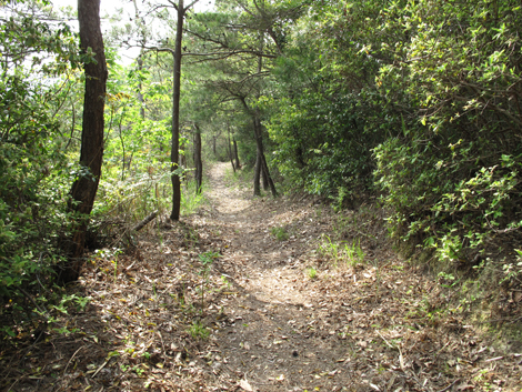20140426hike (295)
